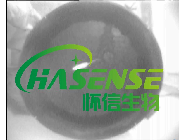 水迷宮檢測(cè)